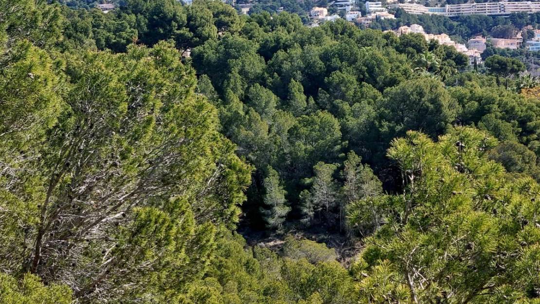 Sale - Commercial property - Altea - Altea Centro