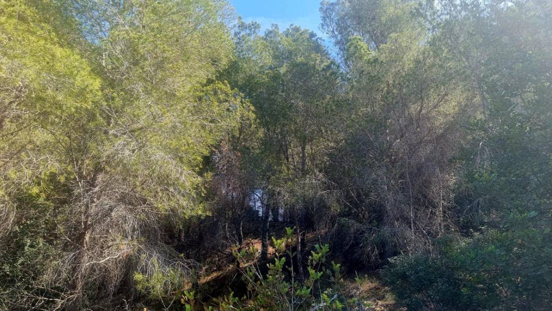 Sale - Commercial property - Altea - Altea Centro