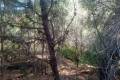 Sale - Commercial property - Altea - Altea Centro