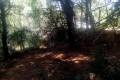 Sale - Commercial property - Altea - Altea Centro