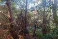 Sale - Commercial property - Altea - Altea Centro