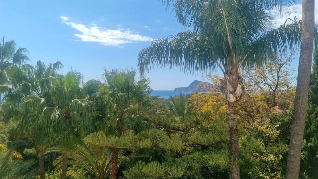 Sale - Commercial property - Altea - Altea Centro