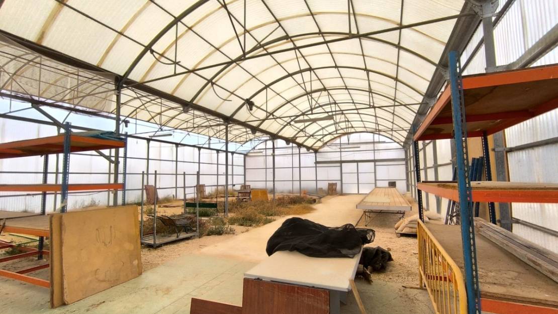 Sale - Commercial property - Aspe - Aspe Centro