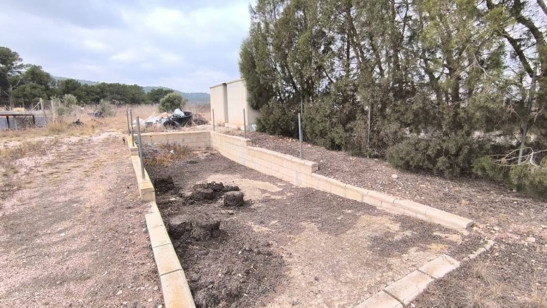 Sale - Commercial property - Aspe - Aspe Centro