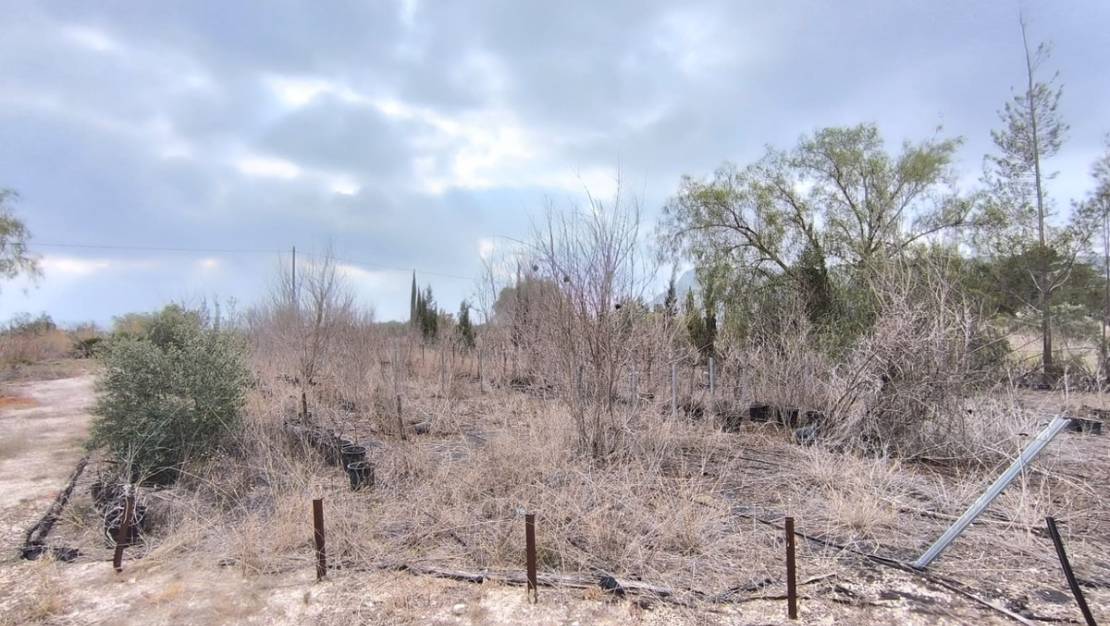 Sale - Commercial property - Aspe - Aspe Centro