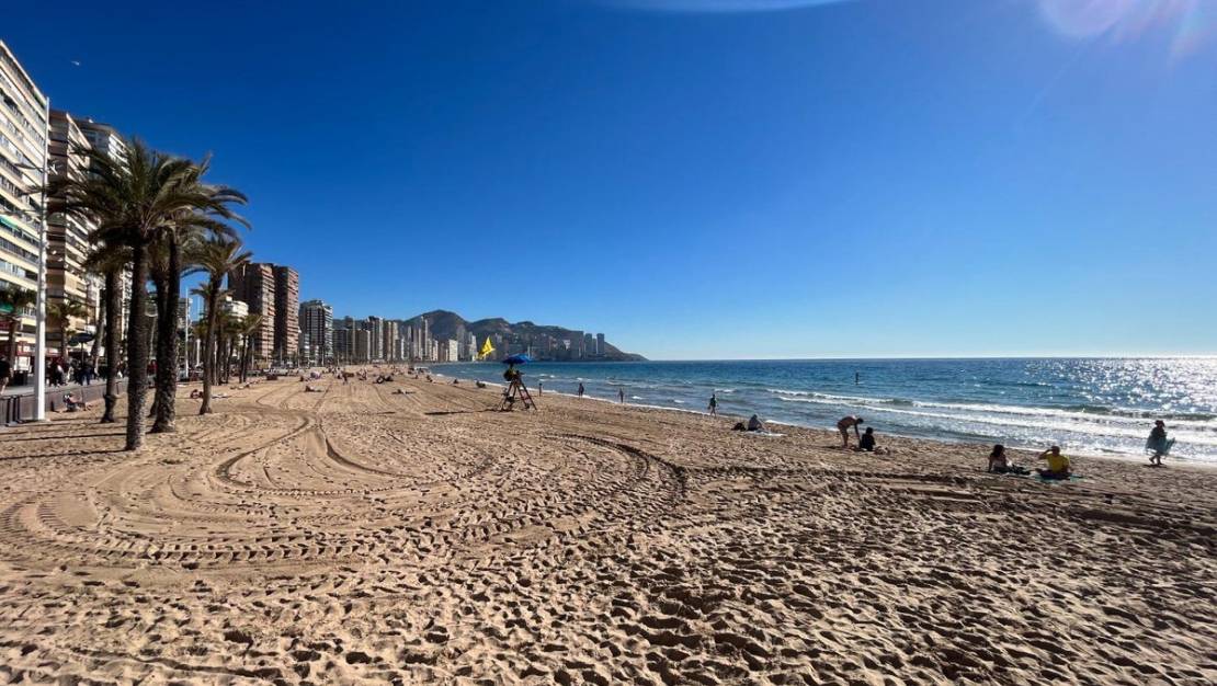 Sale - Commercial property - Benidorm - Benidorm Centro