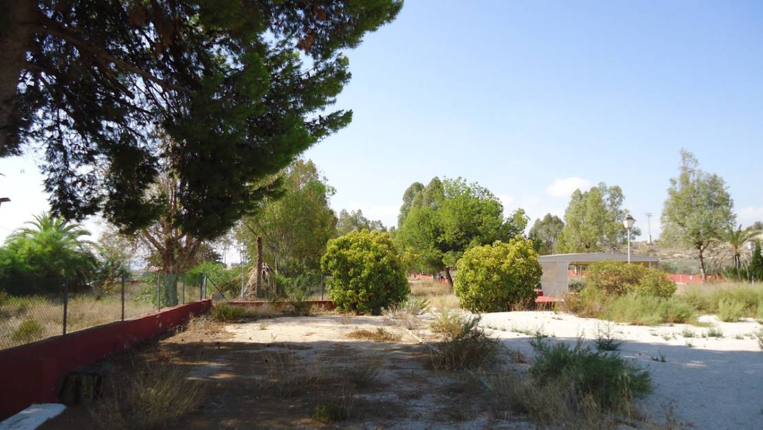 Sale - Commercial property - Fortuna - Fortuna Centro