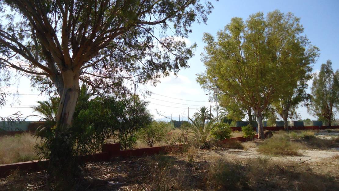 Sale - Commercial property - Fortuna - Fortuna Centro