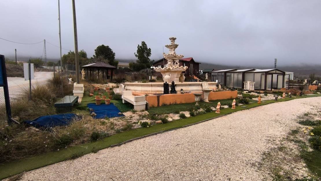 Sale - Commercial property - La Romana - La Romana Centro