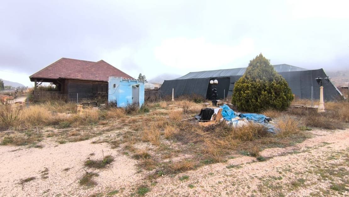 Sale - Commercial property - La Romana - La Romana Centro