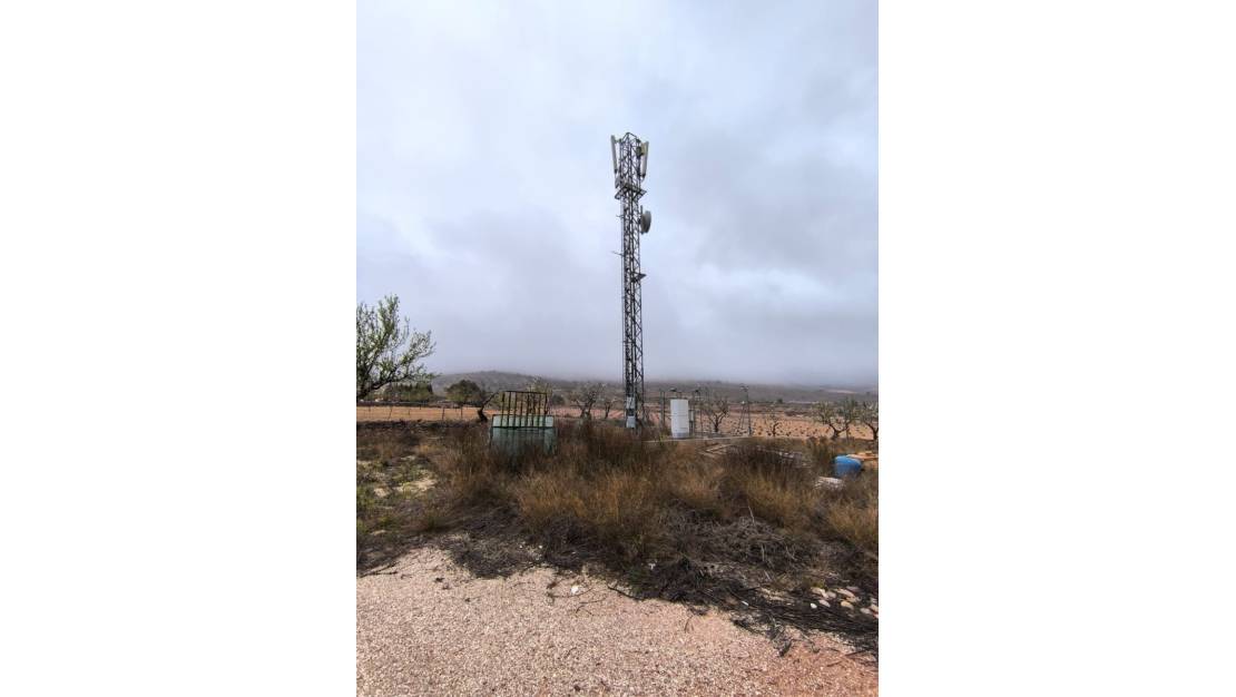 Sale - Commercial property - La Romana - La Romana Centro