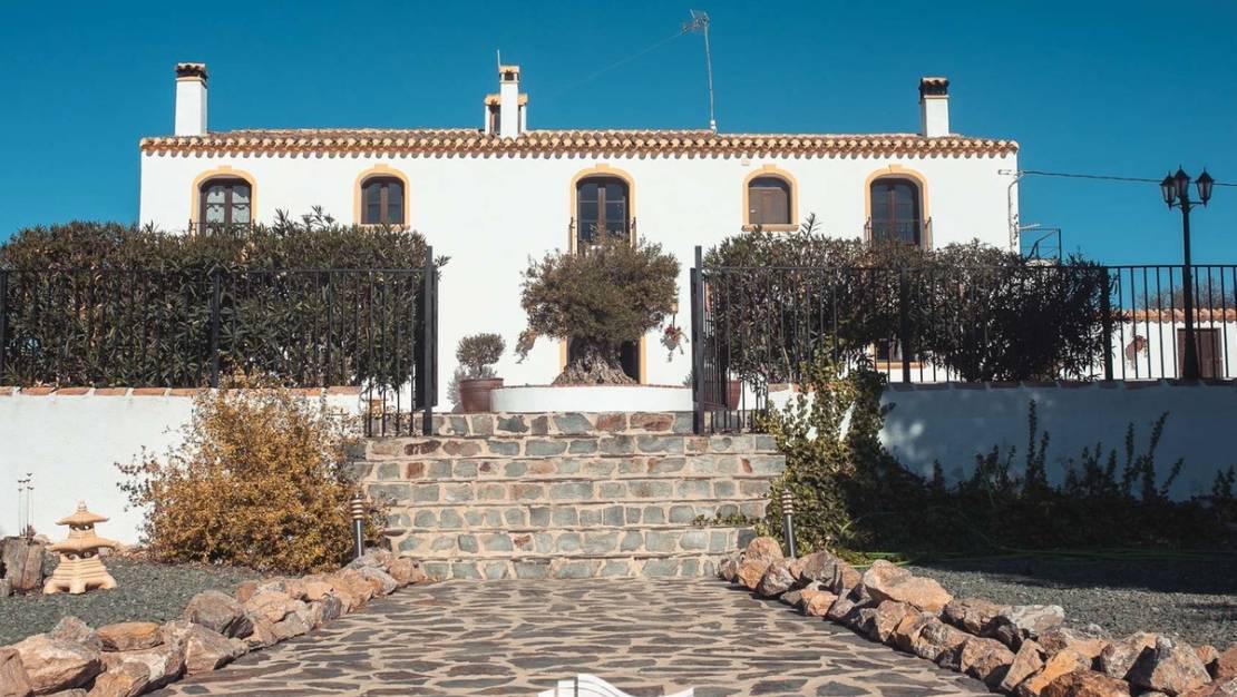 Sale - Commercial property - Lorca - Lorca Centro