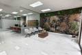 Sale - Commercial property - Los Montesinos - Los Montesinos Centro