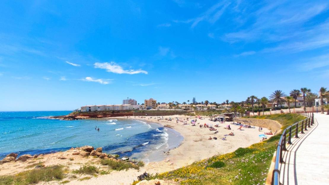 Sale - Commercial property - Orihuela - La Zenia