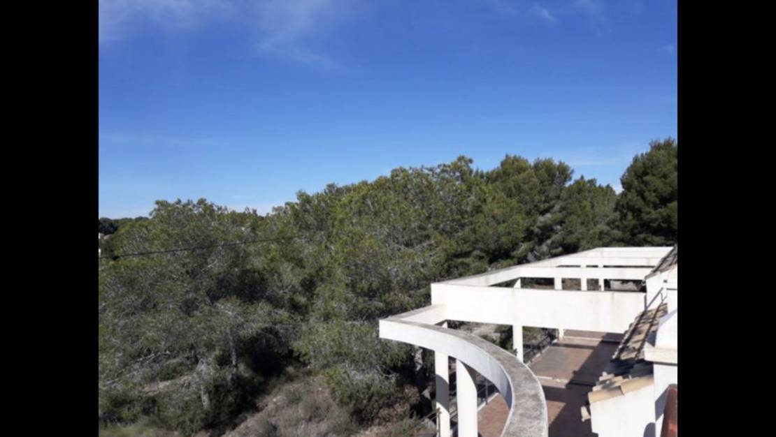 Sale - Commercial property - Pilar de la Horadada - Pinar de Campoverde