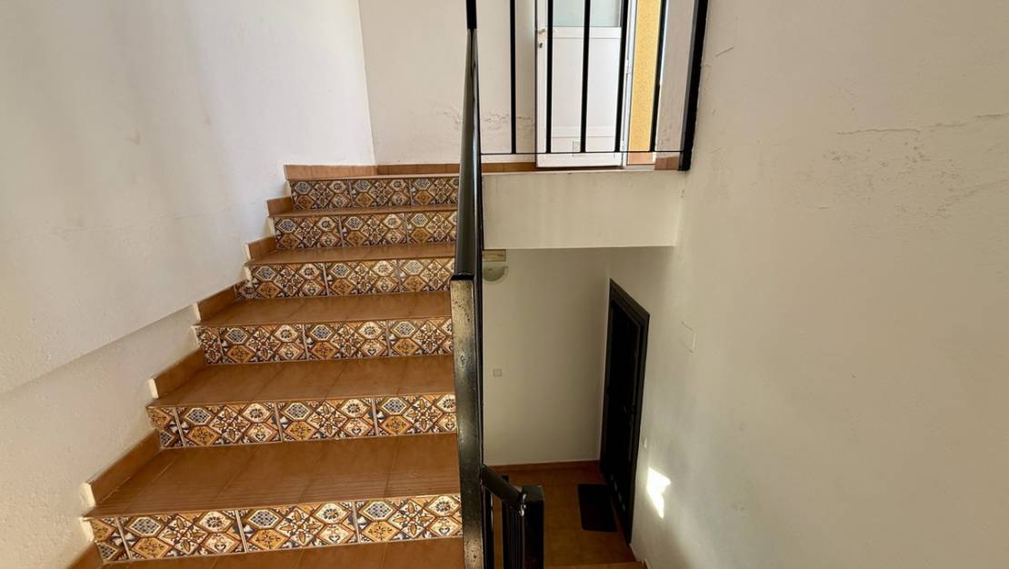 Sale - Commercial property - San Miguel de Salinas - San Miguel de Salinas Centro