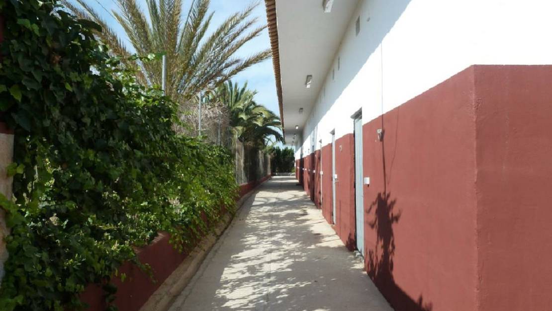 Sale - Commercial property - San Miguel de Salinas - San Miguel de Salinas Centro