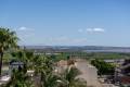 Sale - Commercial property - San Miguel de Salinas - San Miguel de Salinas Centro