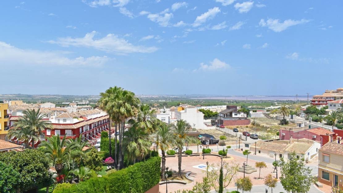 Sale - Commercial property - San Miguel de Salinas - San Miguel de Salinas Centro