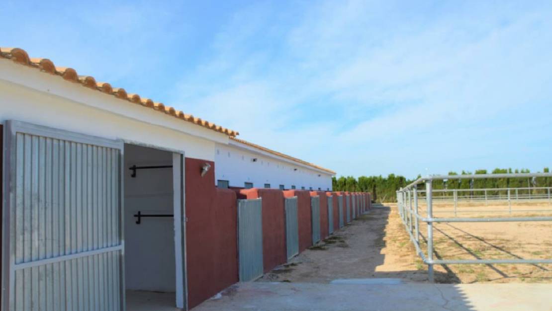 Sale - Commercial property - San Miguel de Salinas - San Miguel de Salinas Centro