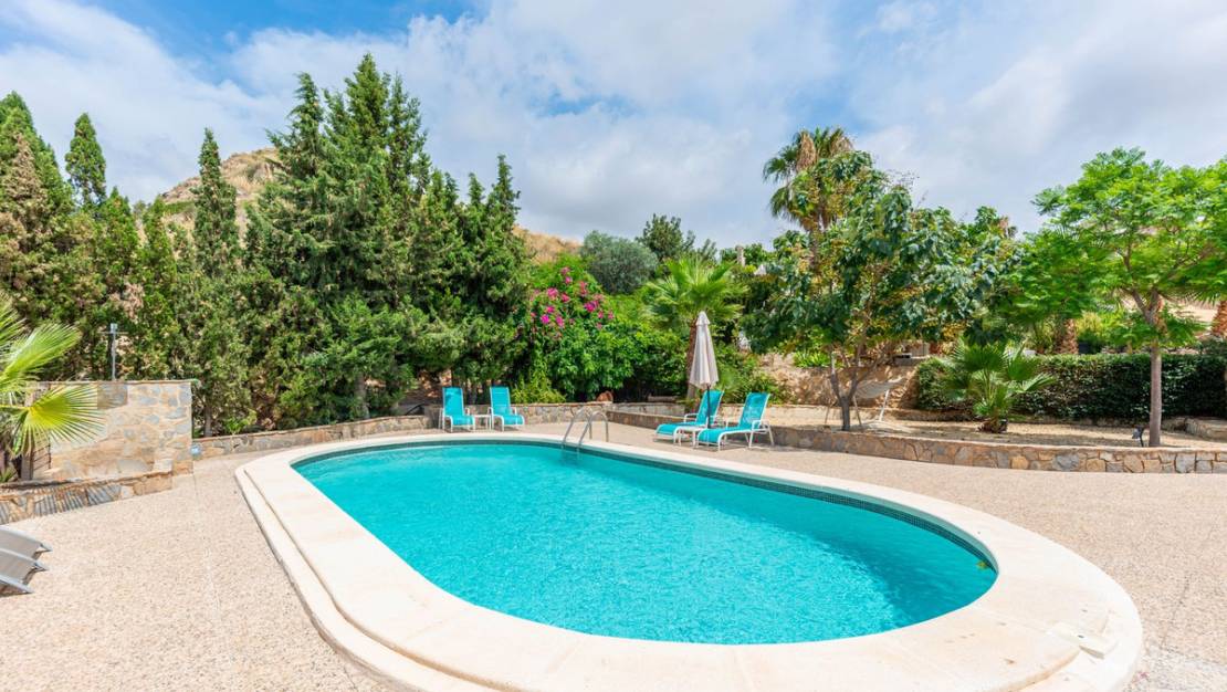 Sale - Commercial property - San Vicente del Raspeig - San Vicente del Raspeig Centro