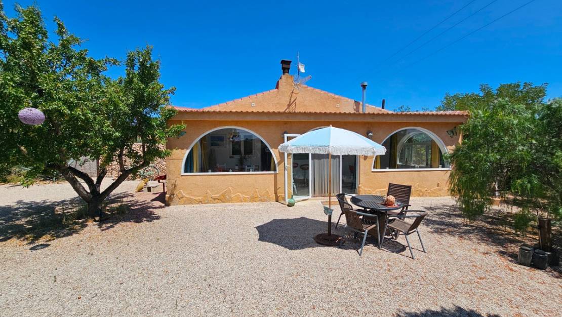 Sale - Commercial property - Sax - Sax Centro