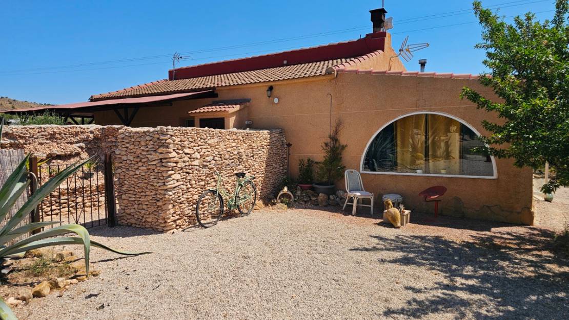 Sale - Commercial property - Sax - Sax Centro