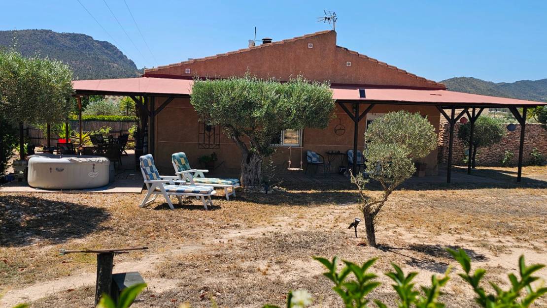 Sale - Commercial property - Sax - Sax Centro