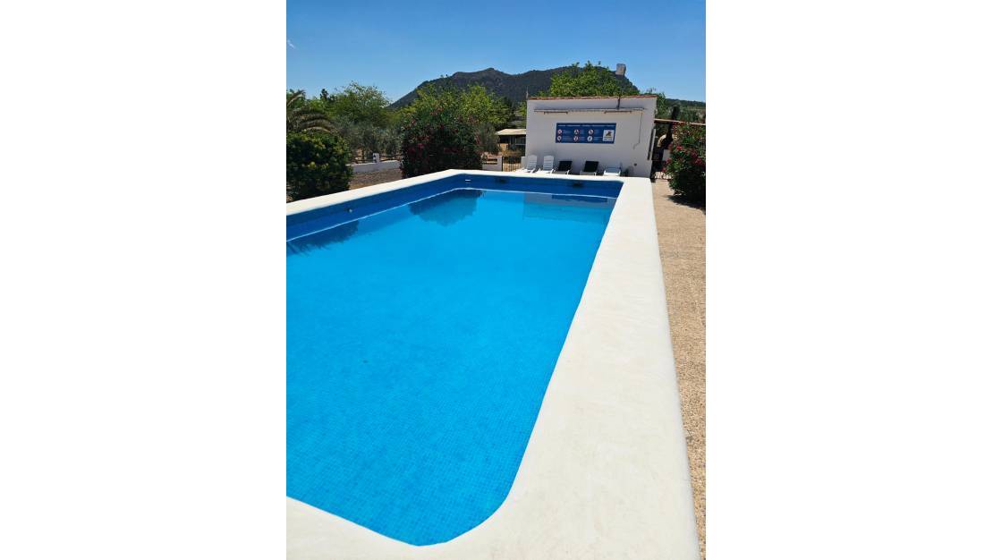 Sale - Commercial property - Sax - Sax Centro