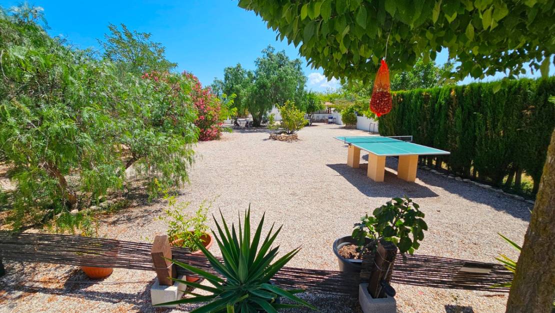 Sale - Commercial property - Sax - Sax Centro