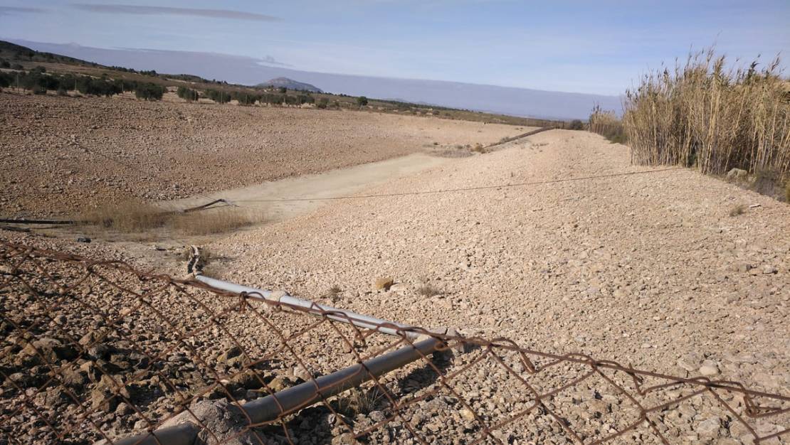 Sale - Commercial property - Yecla - Yecla Centro