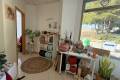Sale - Commercial - San Miguel de Salinas - Pueblo