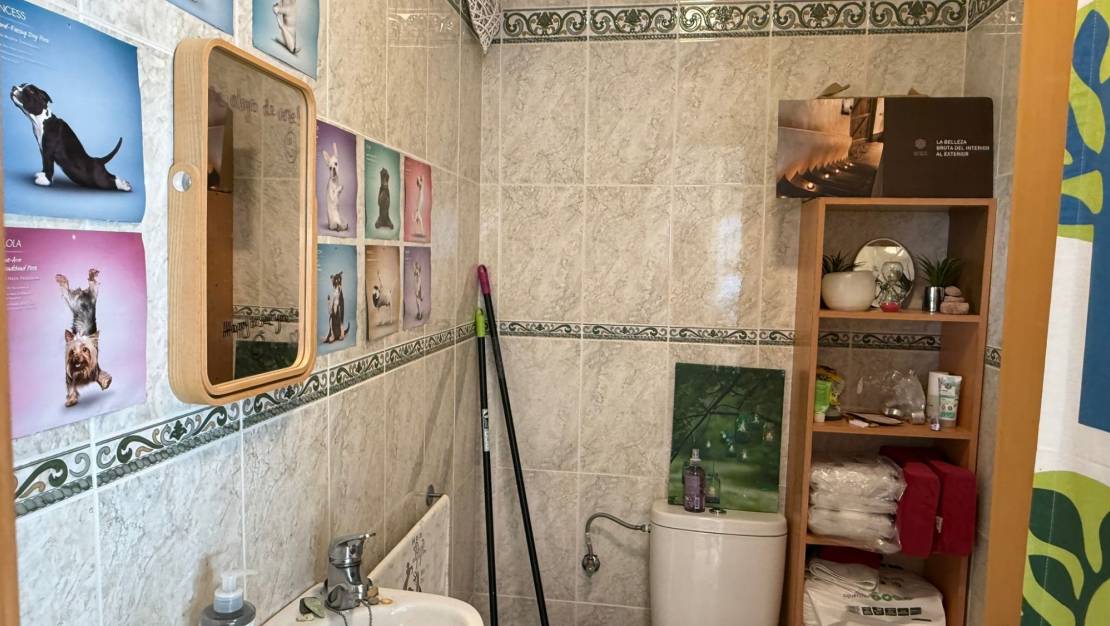 Sale - Commercial - San Miguel de Salinas - Pueblo