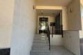 Sale - Commercial - San Miguel de Salinas - Pueblo