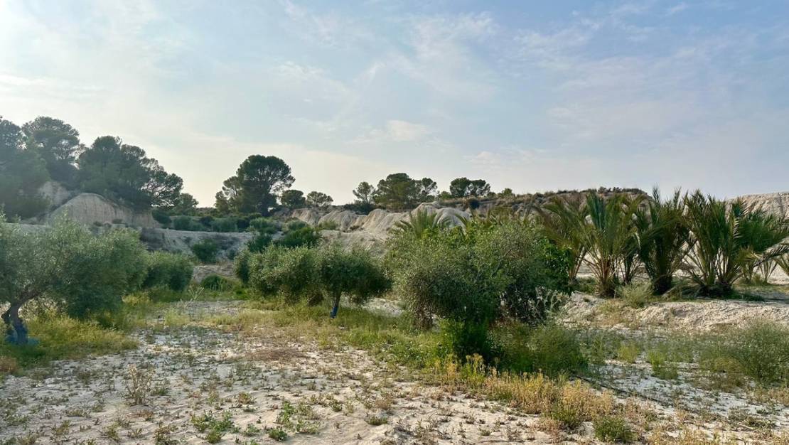 Sale - Country House - Abanilla - Abanilla Centro