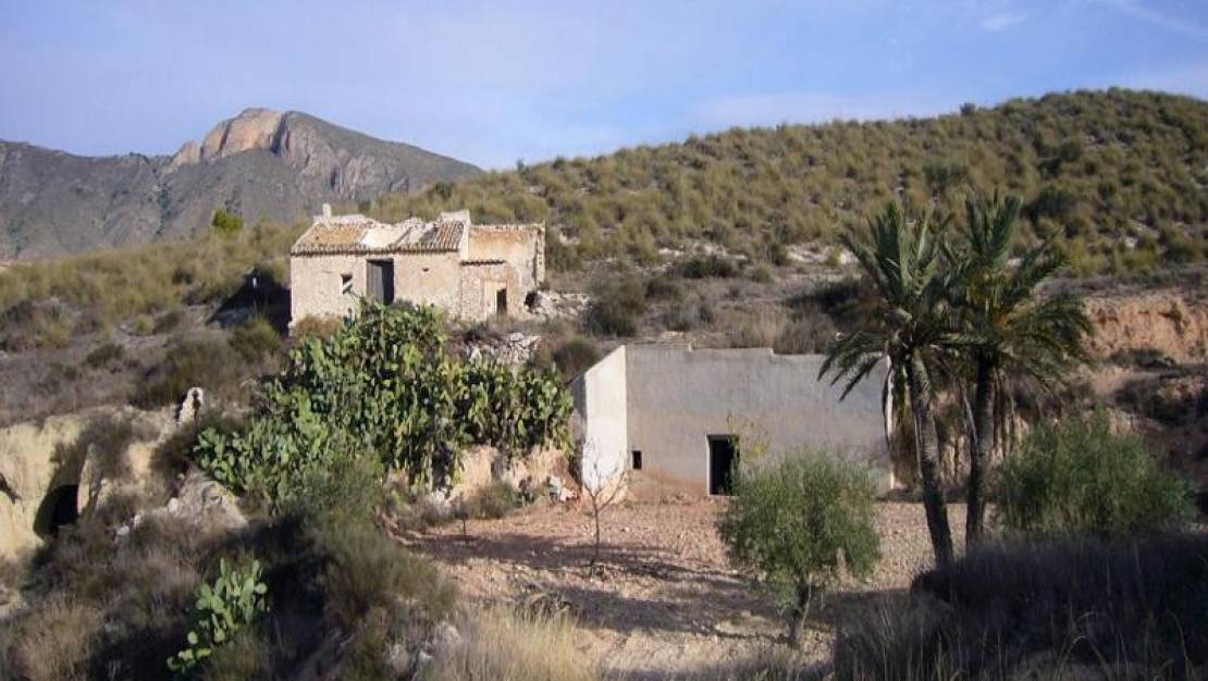 Sale - Country House - Abanilla - Macisvenda