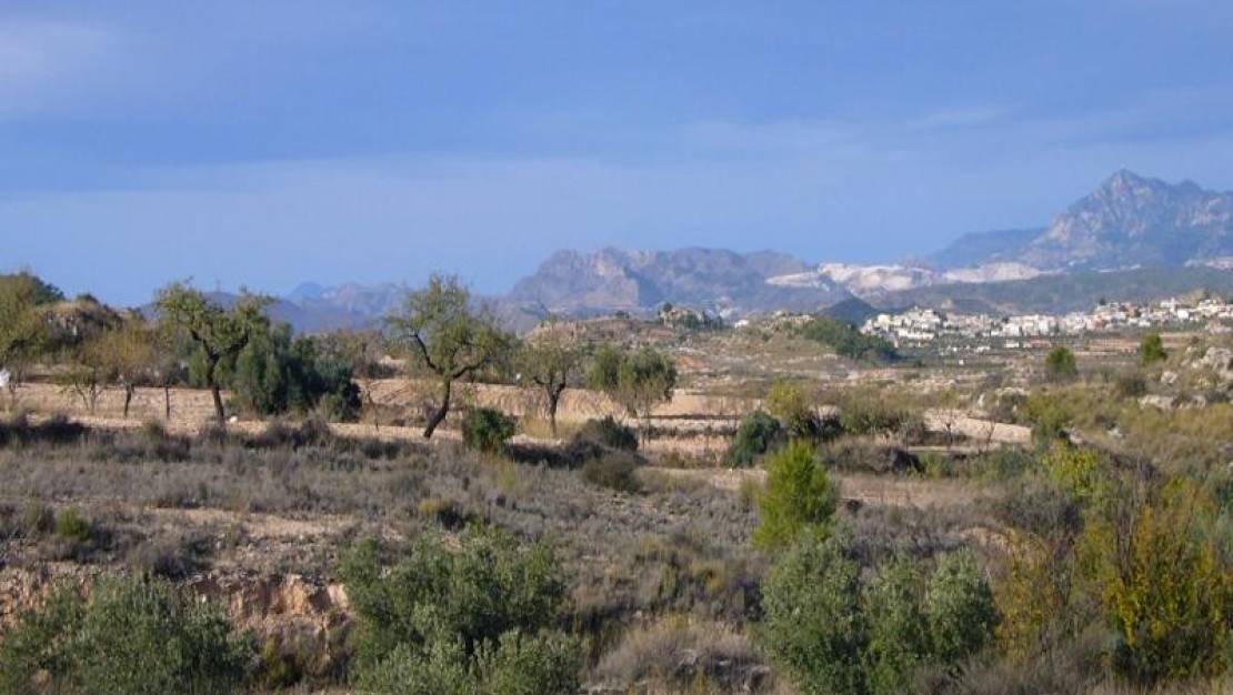 Sale - Country House - Abanilla - Macisvenda