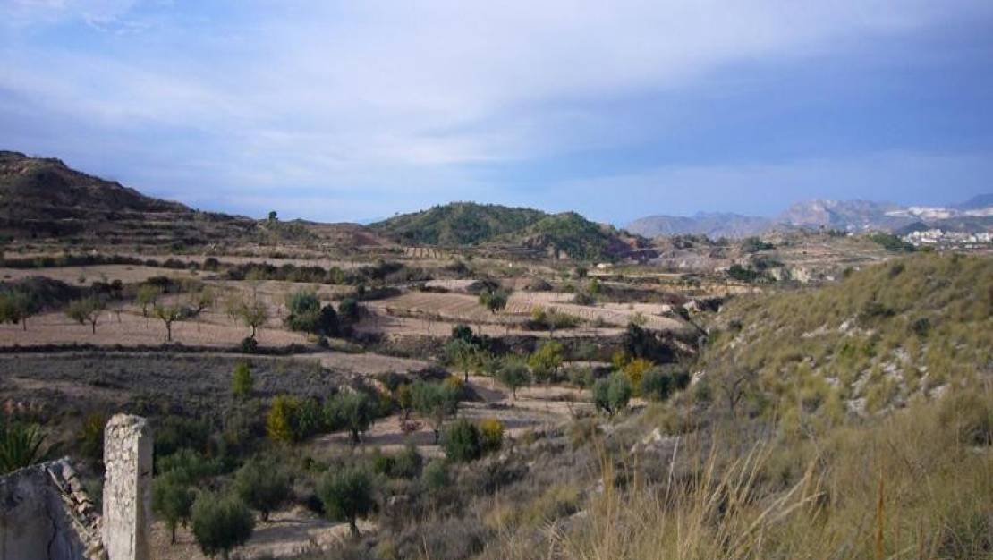 Sale - Country House - Abanilla - Macisvenda