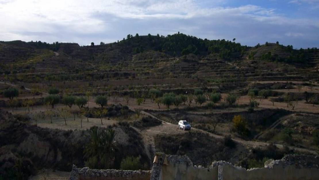 Sale - Country House - Abanilla - Macisvenda