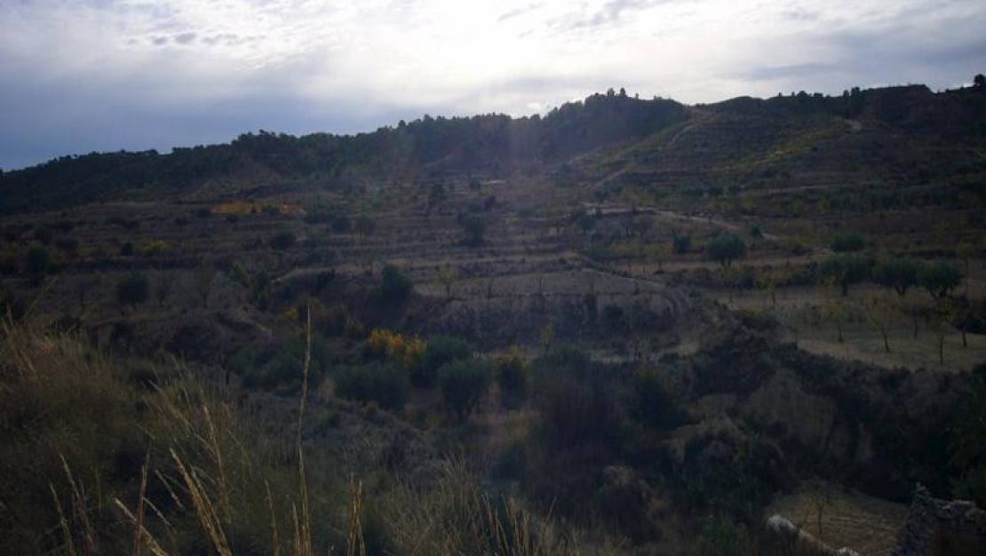 Sale - Country House - Abanilla - Macisvenda