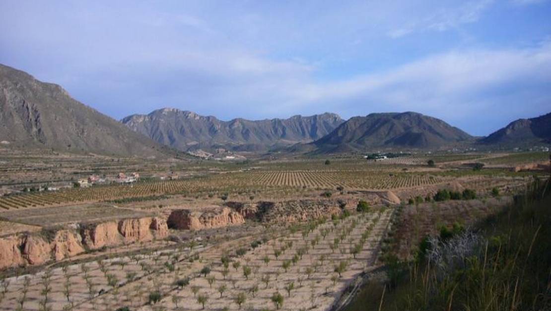 Sale - Country House - Abanilla - Macisvenda