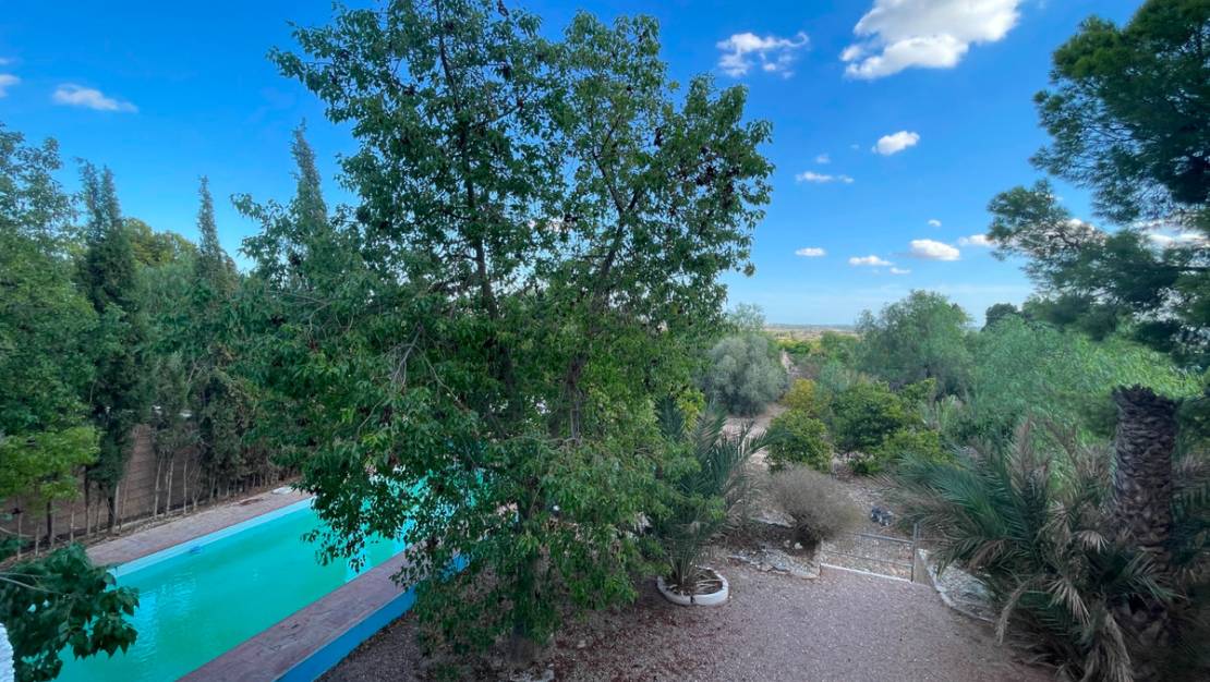 Sale - Country House - Albatera - Albatera Centro