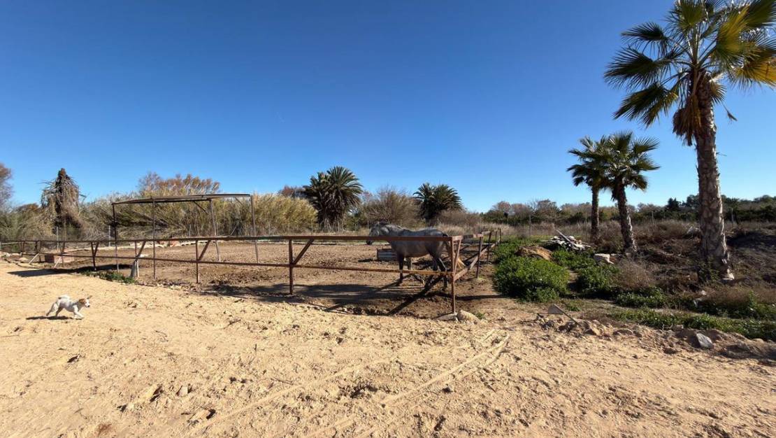 Sale - Country House - Algorfa - Algorfa Centro