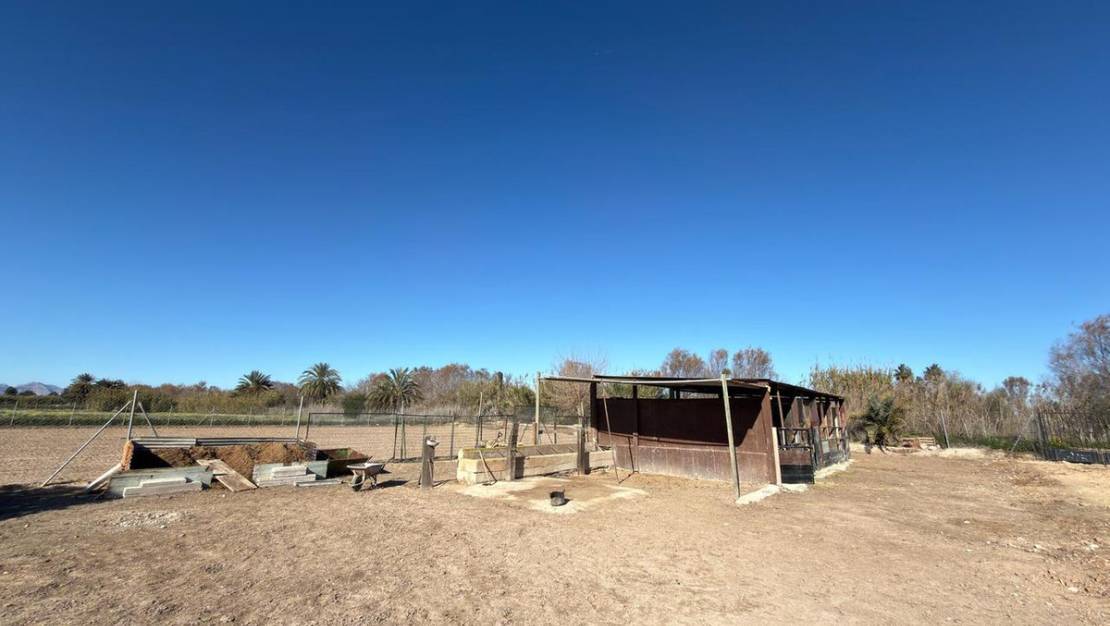 Sale - Country House - Algorfa - Algorfa Centro