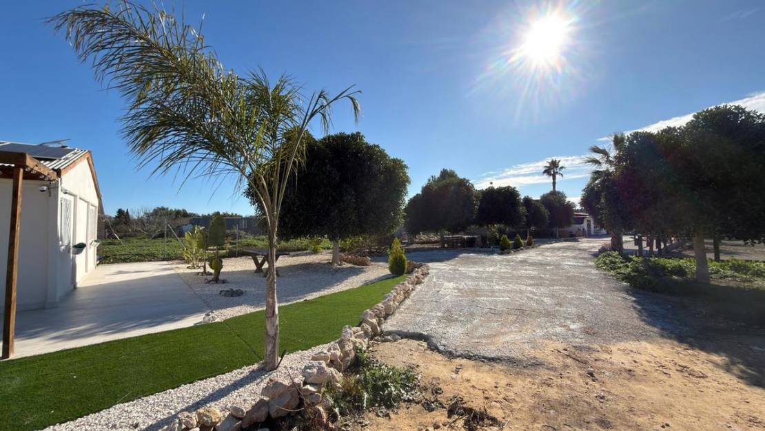 Sale - Country House - Algorfa - Algorfa Centro