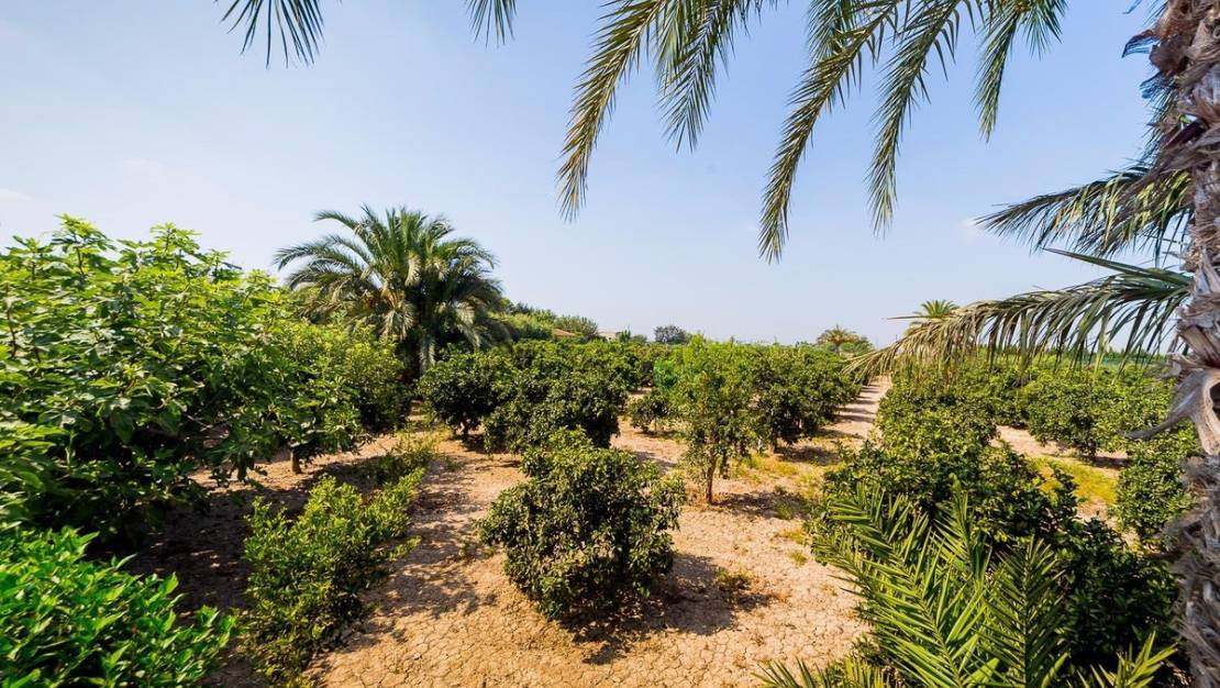 Sale - Country House - Almoradí - Almoradi Centro