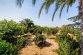 Sale - Country House - Almoradí - Almoradi Centro