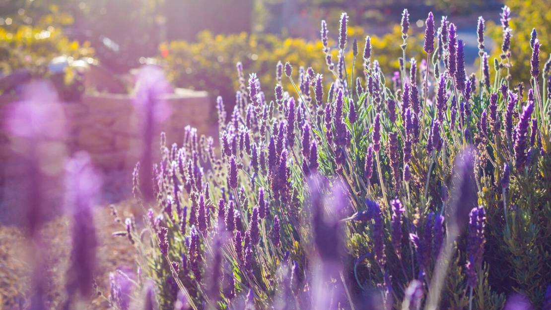 Sale - Country House - Benissa - Benissa Centro