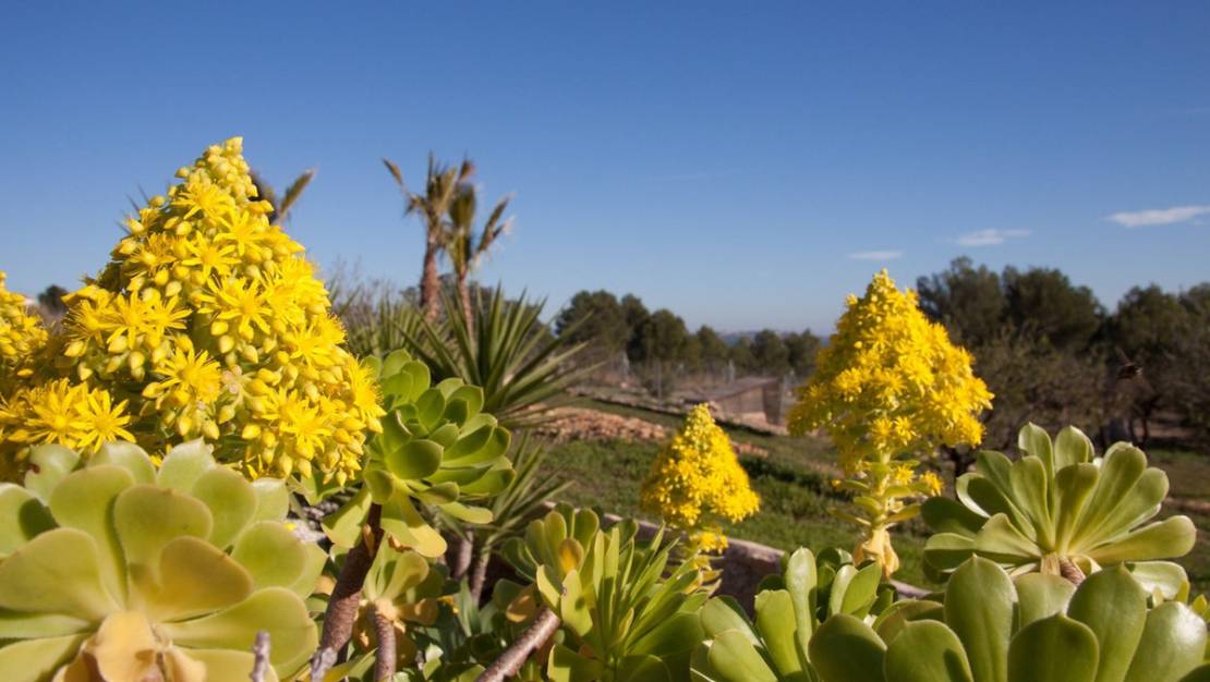 Sale - Country House - Benissa - Benissa Centro