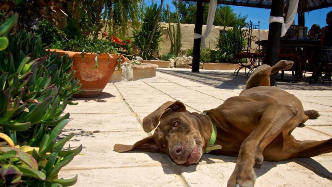 Sale - Country House - Benissa - Benissa Centro